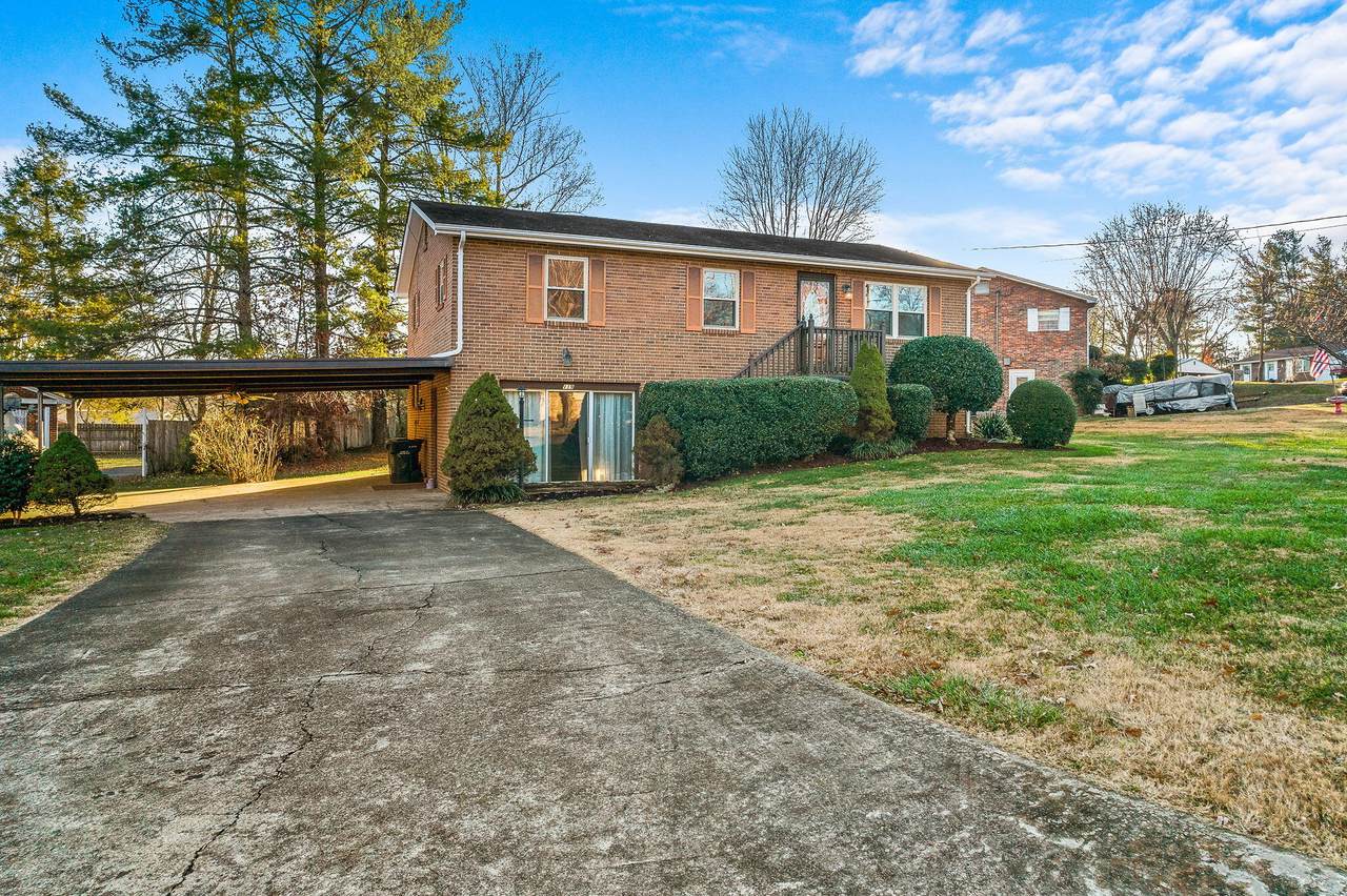 119 York Drive Drive - Photo 1