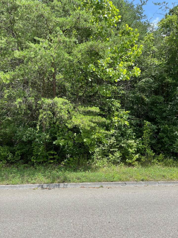 Tbd King Mill Pike - Photo 1