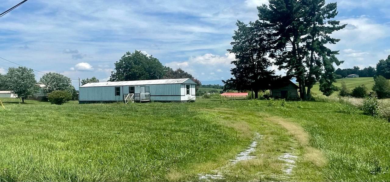 4905 Shackleford Road - Photo 1