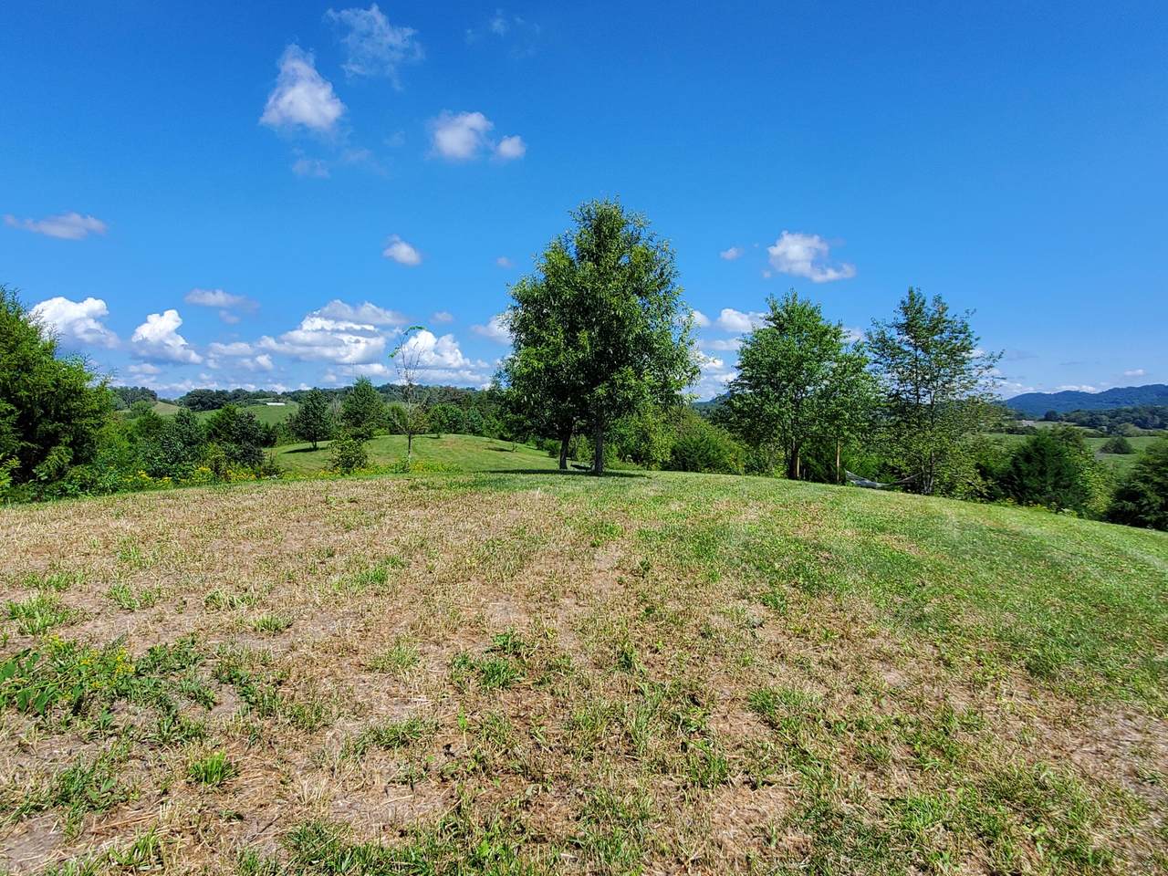 00 Baileyton Road - Photo 1