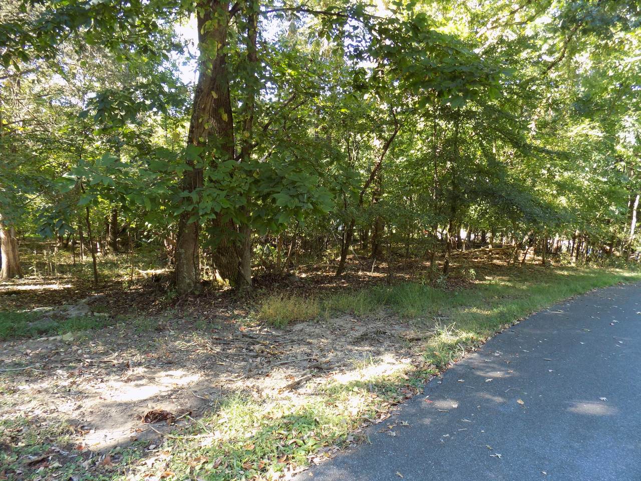 Tbd Kings Mountain Rd. - Photo 1