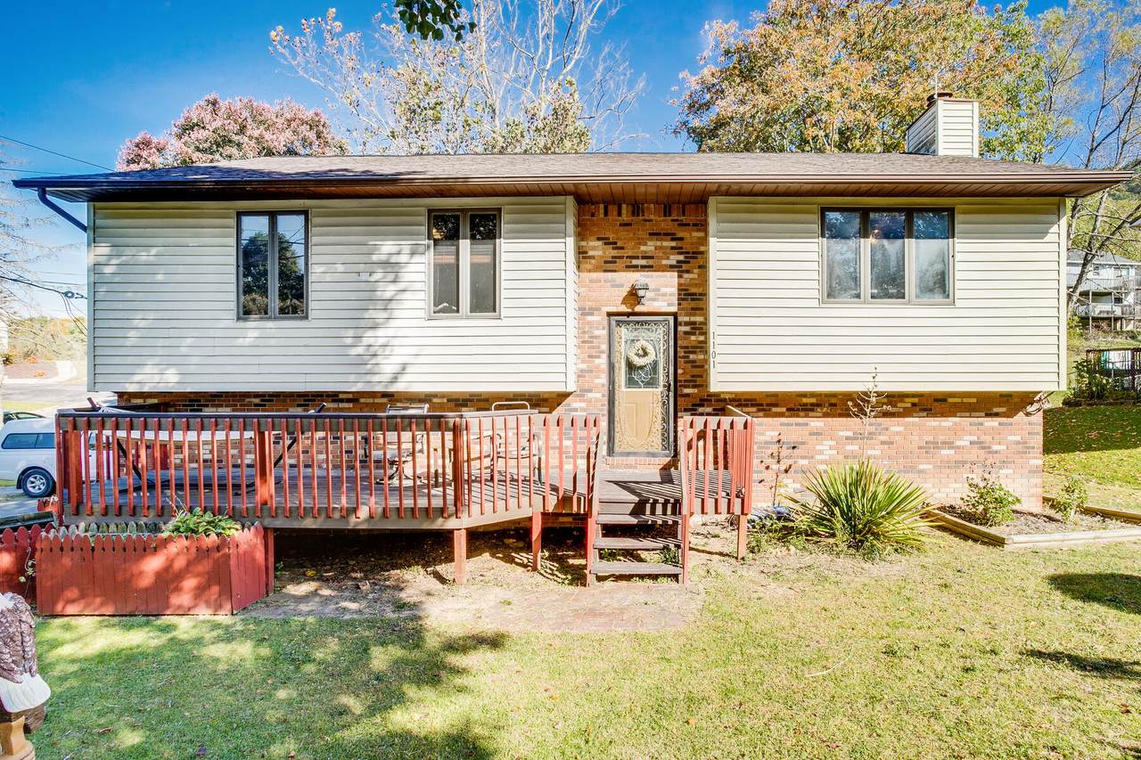 1101 Chippendale Road - Photo 1