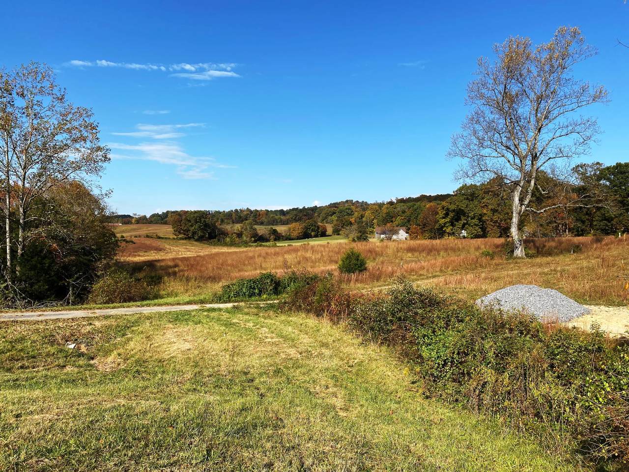 Tbd Hwy 11 W - Photo 1