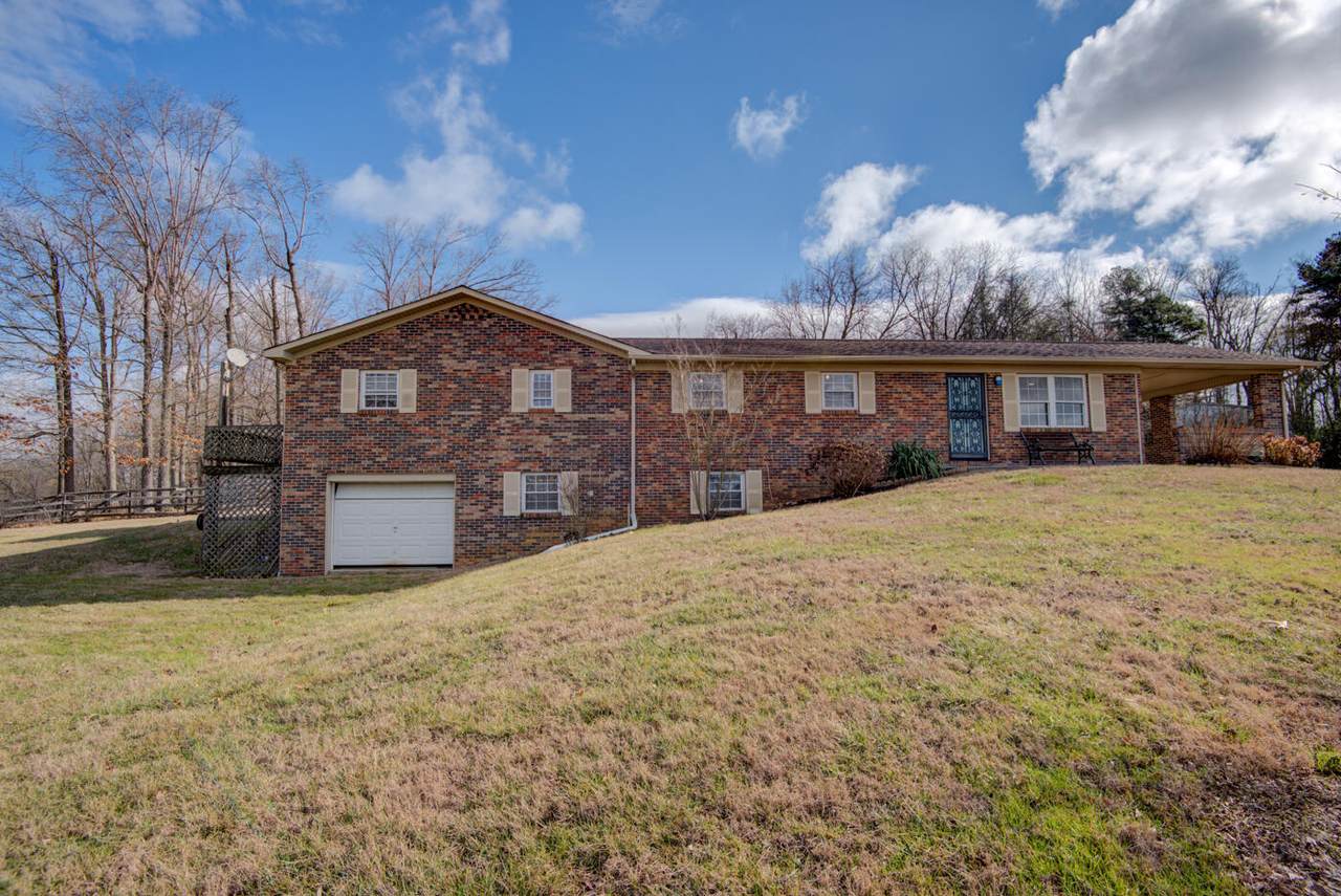 6251 Talley Chapel Pike - Photo 1