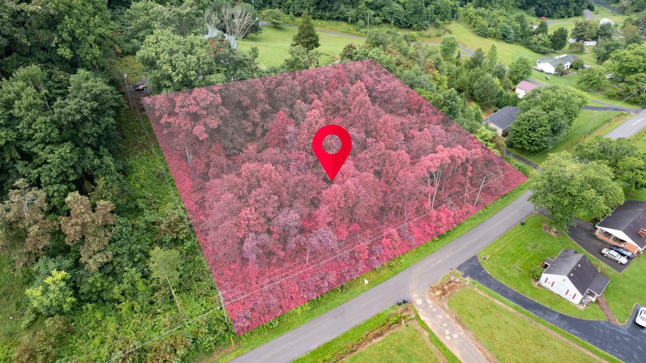 Tbd Rodefer Hollow Road - Photo 1