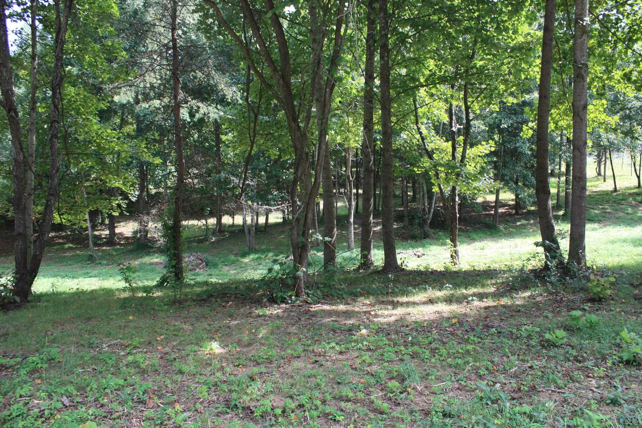 Lot 6 & 7 Old State Route 34 Road - Photo 1