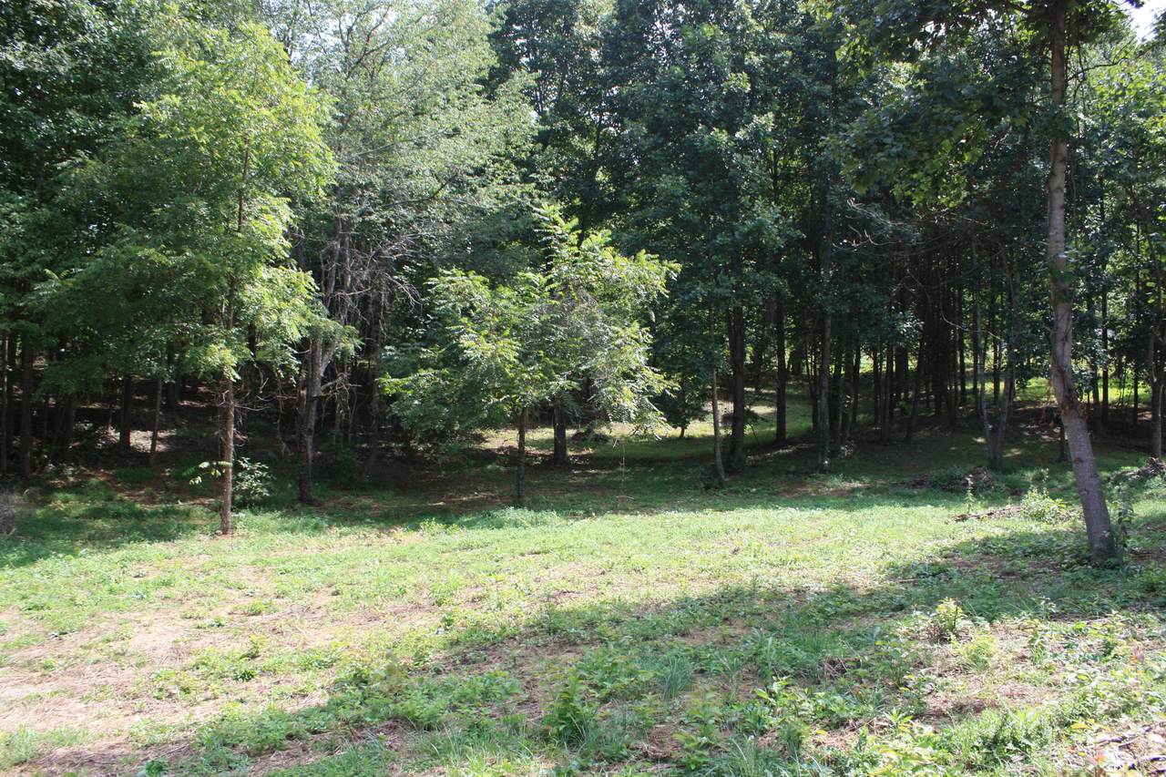 0 Lot 4 Old State Route 34 - Photo 1