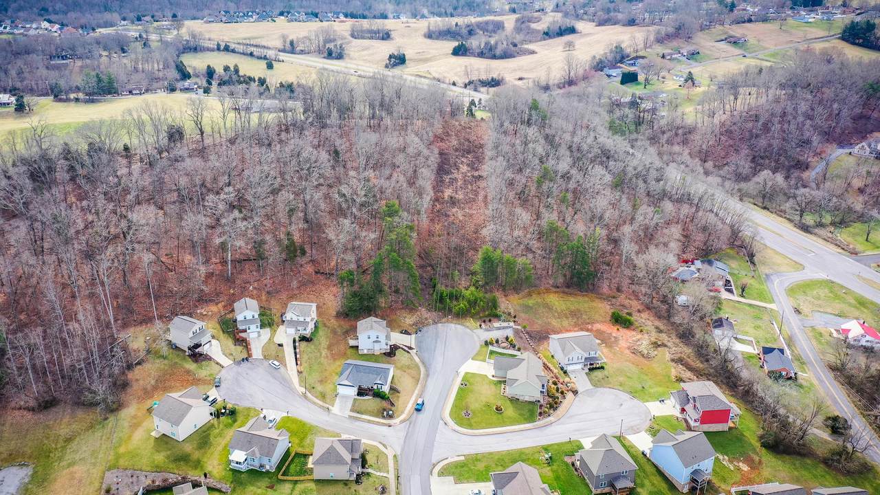 Tbd Old Moreland Drive - Photo 1