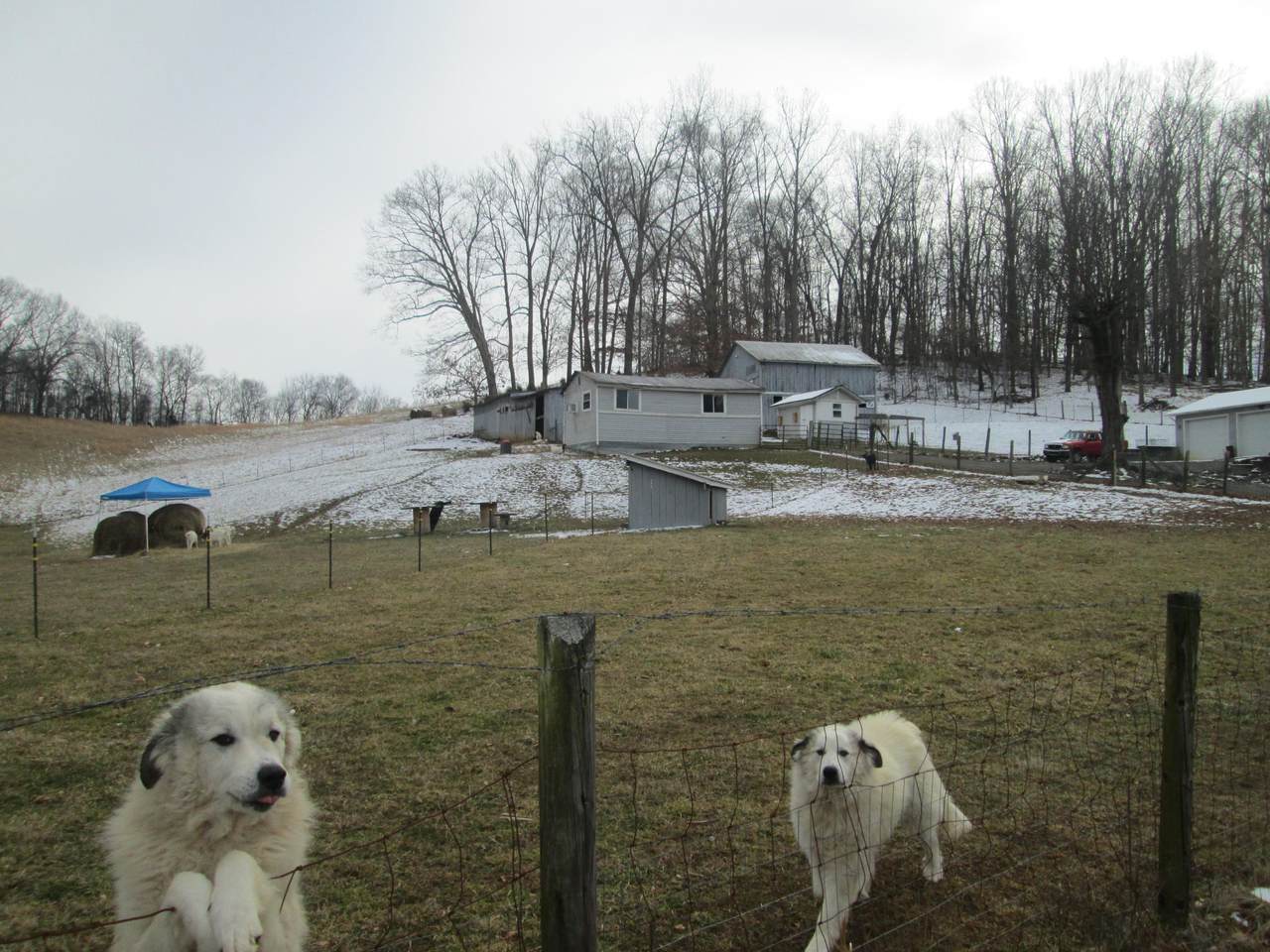 1585 Big Hollow Road - Photo 1