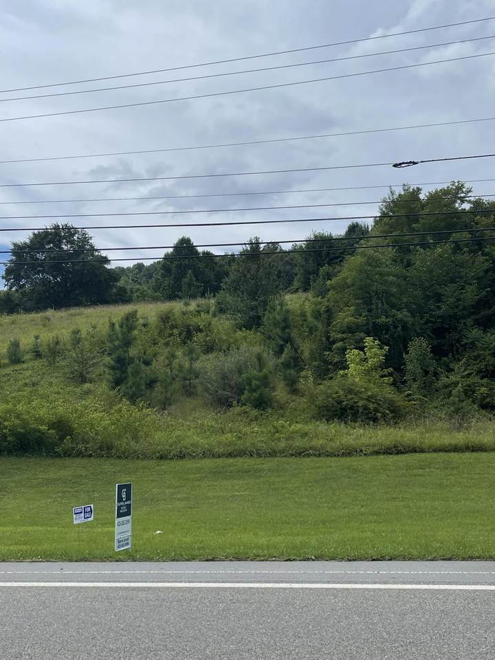 4401 Highway 11W - Photo 1