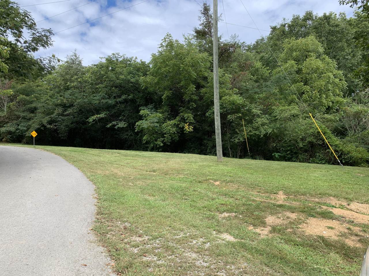 Lot 30 Scenic Woods Way - Photo 1