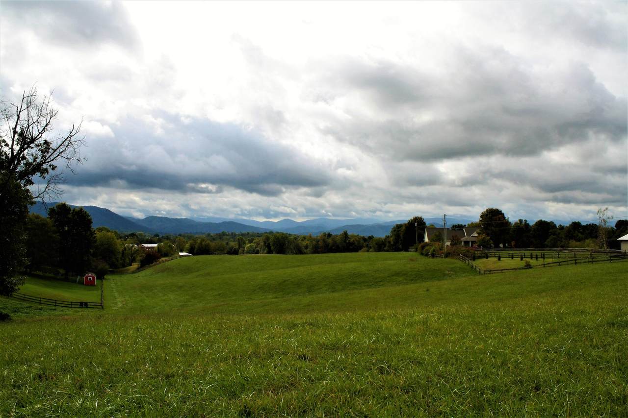 Tbd Lot #2 Jim Town Road - Photo 1
