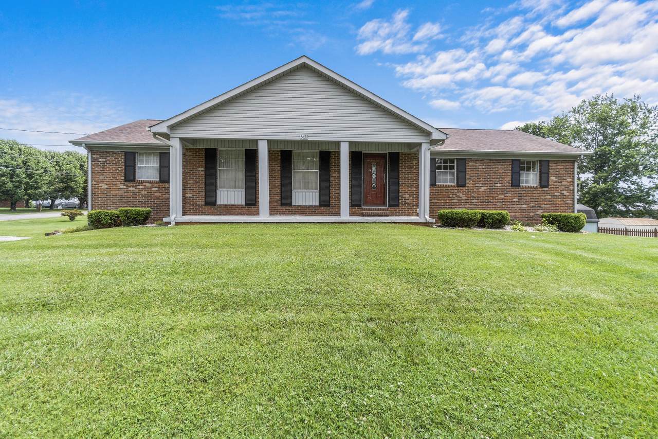 6621 Young Avenue - Photo 1