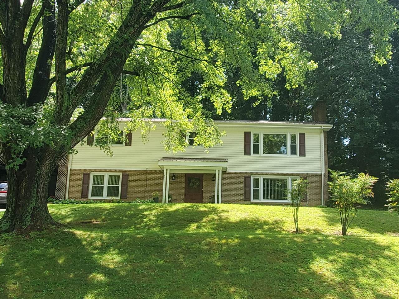 421 Wyandotte Drive Road - Photo 1