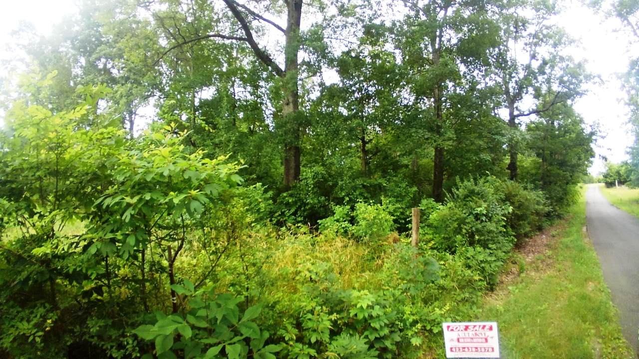 Lot 11 Smelcer Road - Photo 1