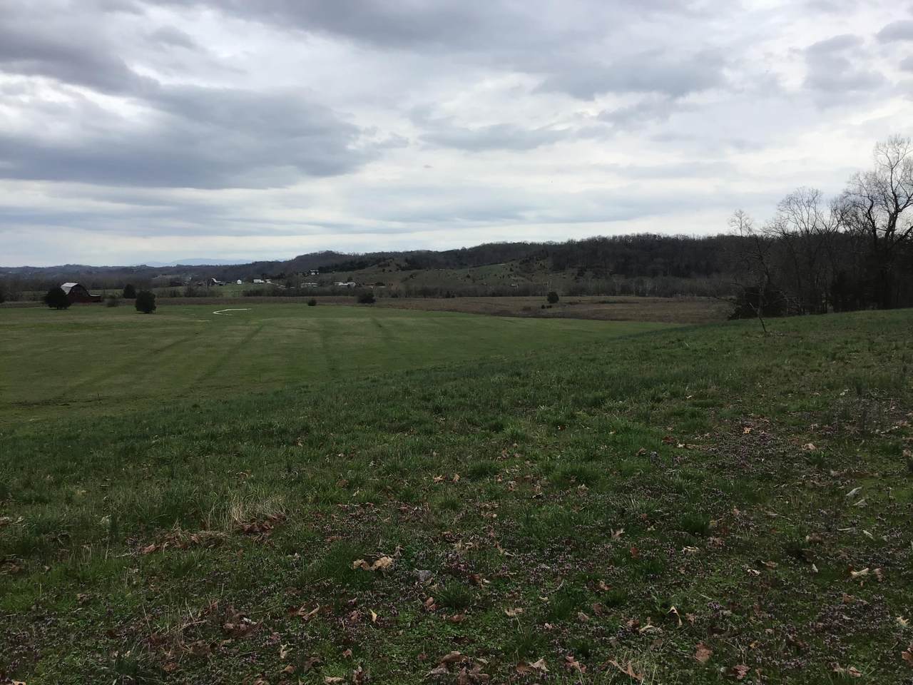 Lot 20 Smelcer Road - Photo 1