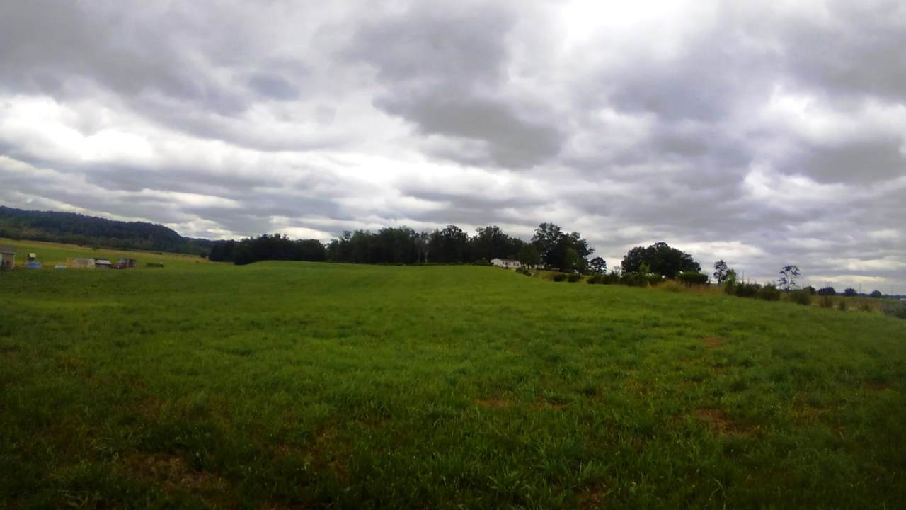 Lot 24 Smelcer Road - Photo 1