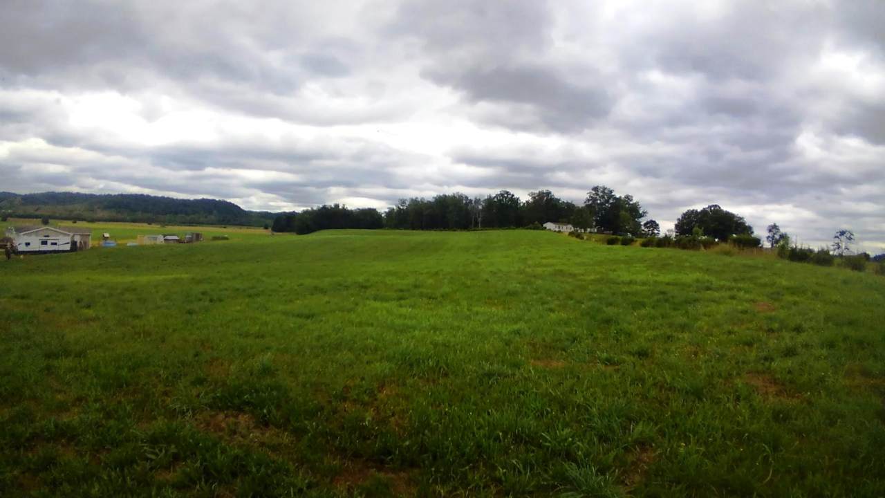 Lot 26 Smelcer Road - Photo 1