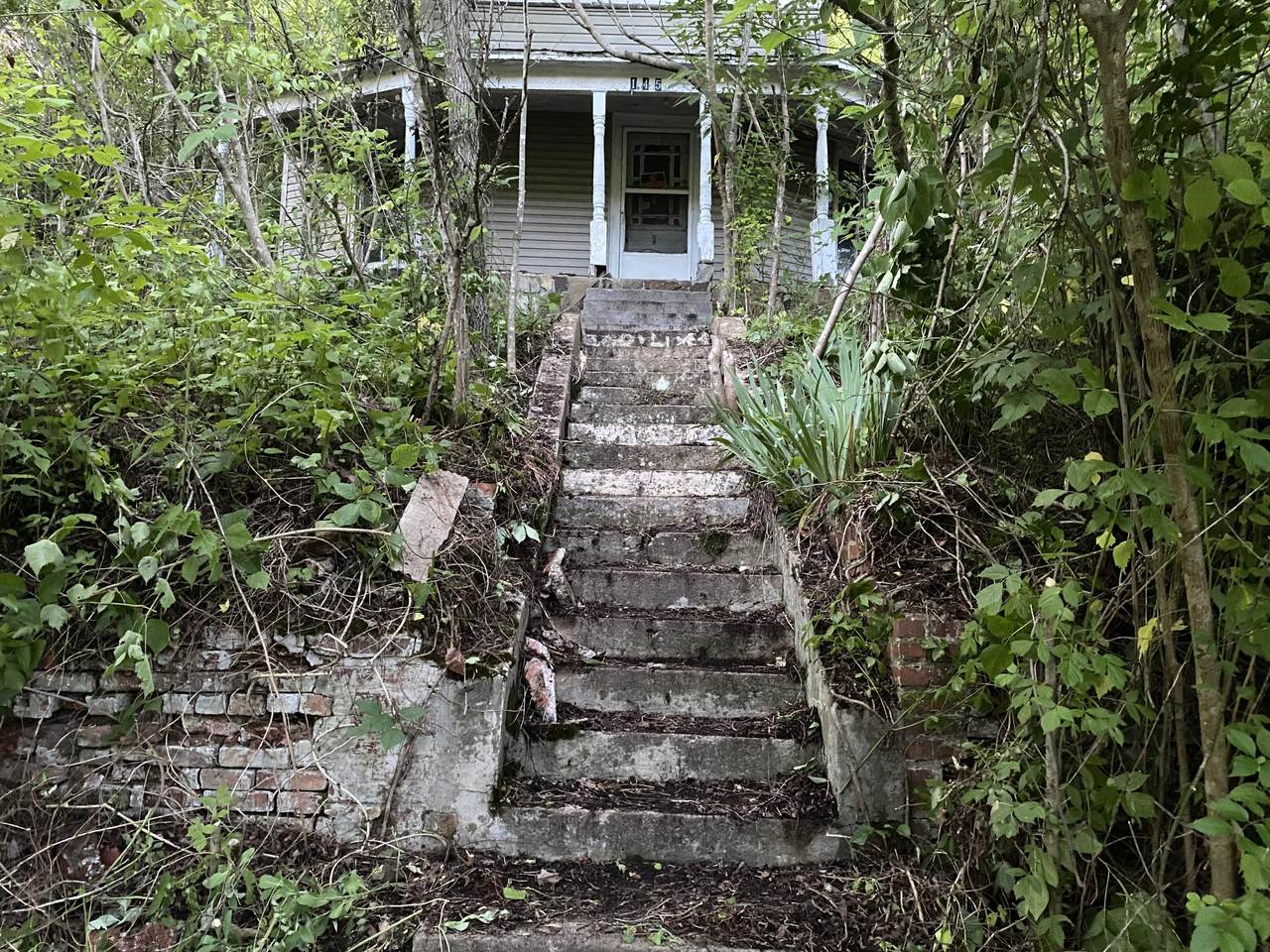 145 Cedar Branch Road - Photo 1