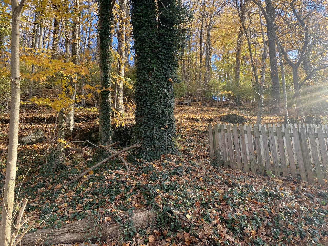 00 Meadowbrook Dr - Photo 1