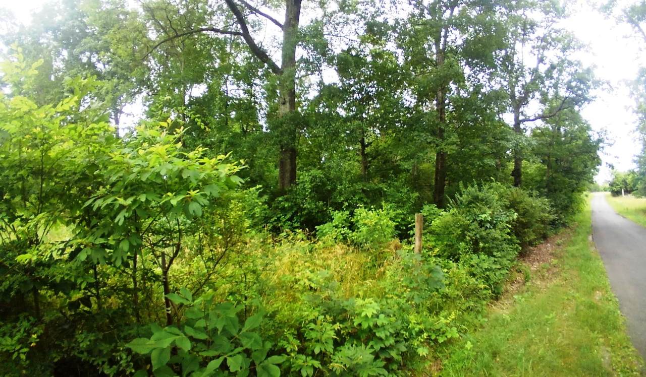 Lot 10 Smelcer Road - Photo 1