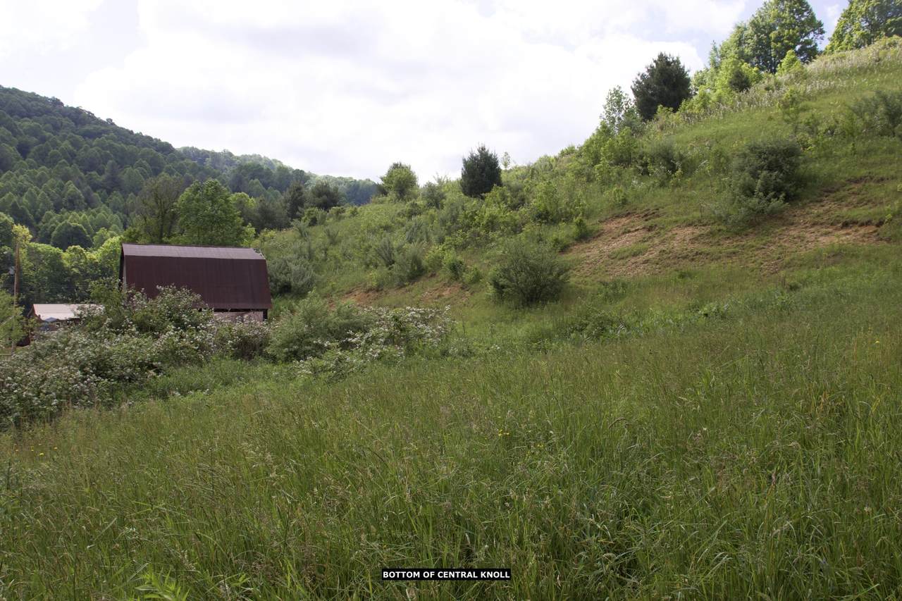 Tbd Highway 421 - Photo 1