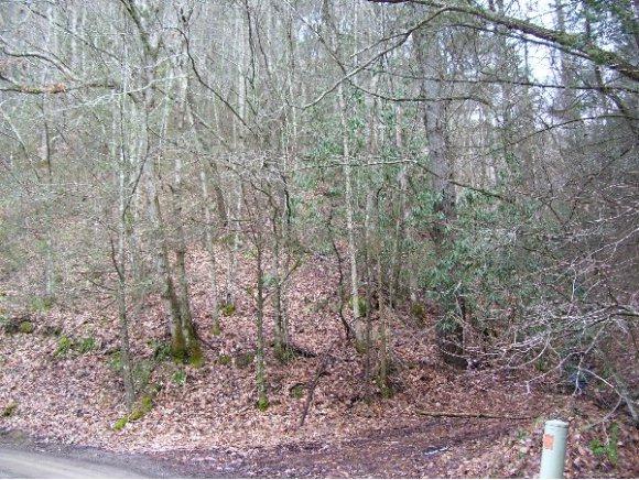 TBD Alantis Lane - Photo 1