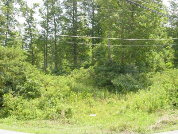 TR. 1&2 Steinman Road - Photo 1