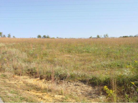 LOT 37 Lariat Drive - Photo 1