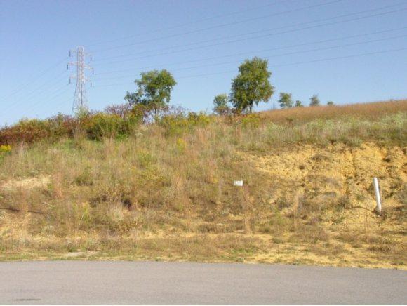 LOT 38 Lariat Drive - Photo 1