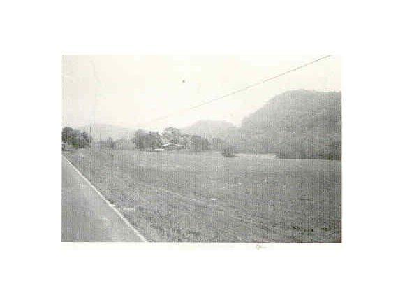 0 Gap Creek Rd - Photo 1