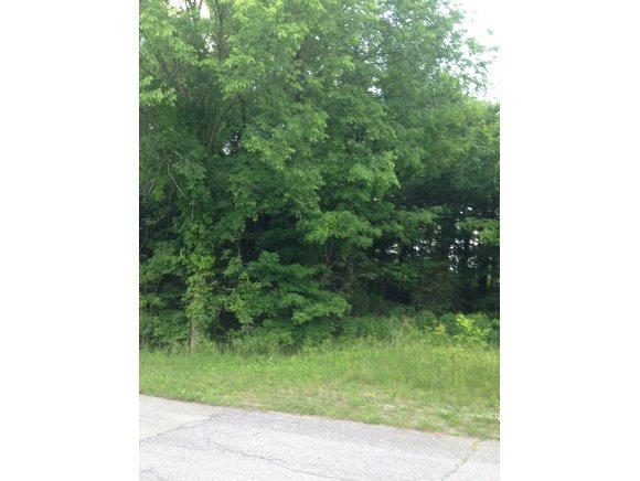 0 Fleenor Drive - Photo 1