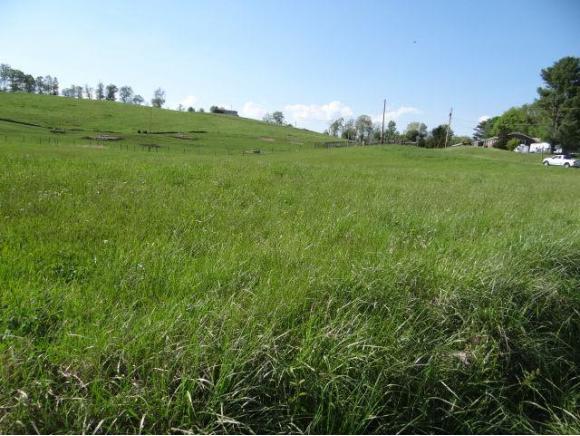 0 Lot 7 Celebrity Lane - Photo 1