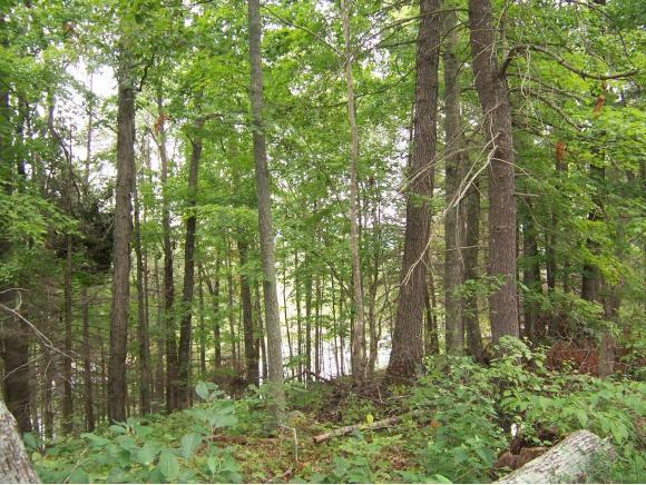 0 Lake Pointe Drive, Lots 1 & 1A - Photo 1