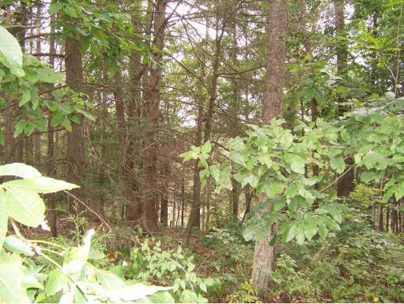 0 Lake Pointe Drive, Lots 3 & 3A - Photo 1