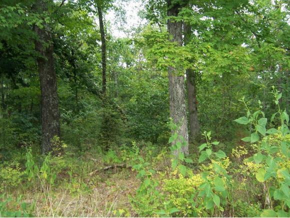 0 Lake Pointe Drive, Lots 6 & 6A - Photo 1