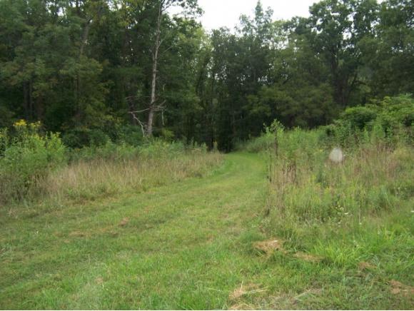 0 Lake Pointe Drive, Lot 8 - Photo 1