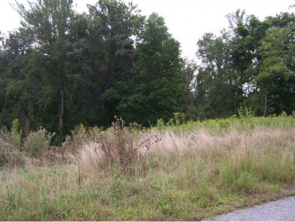 0 Lake Pointe Drive, Lot 9 - Photo 1