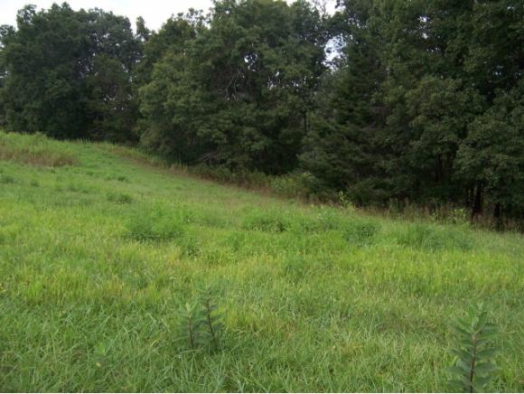 0 Lake Pointe Drive, Lot 39 - Photo 1