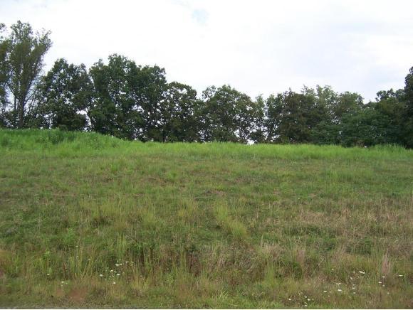 0 Lake Pointe Drive, Lot 36 - Photo 1