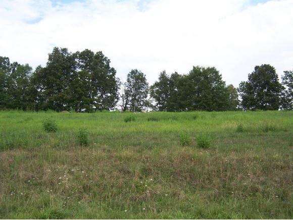 0 Lake Bend Court, Lot 33 - Photo 1