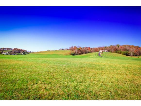 1236 Elizabethton Hwy - Photo 1