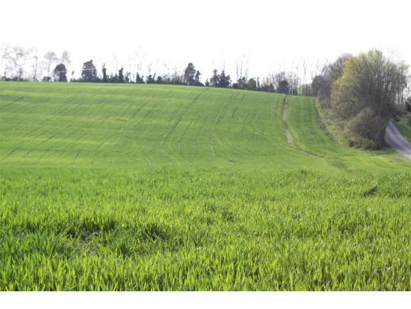 0 Gravel Hill Road - Photo 1