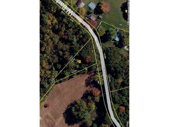 Lot #9 W Barton Ridge Road - Photo 1