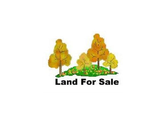 2236 Windsor Falls Lane - Photo 1