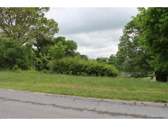 LOT #10 Henry Street - Photo 1