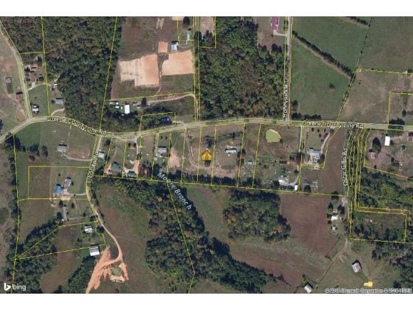 Lot 6 Greene Co. Line Rd - Photo 1