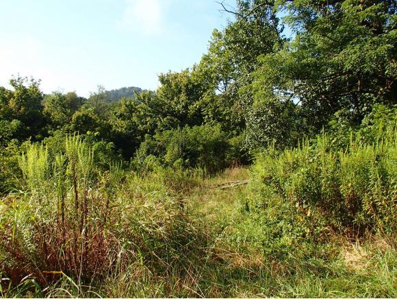 1428 Highway 126 - Photo 1
