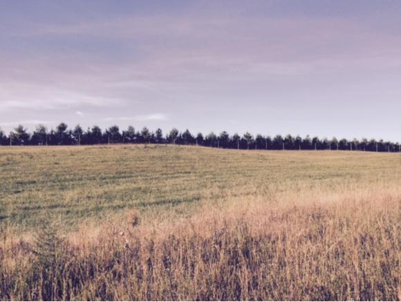 0 HWY 11E - Photo 1