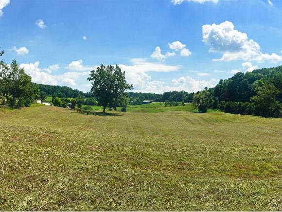 0 Hickory Hills Road - Photo 1